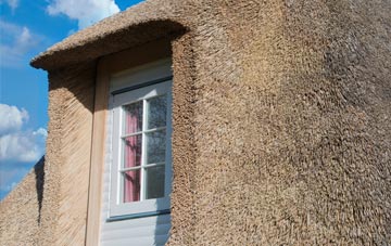 Marchamley Wood thatch roof disadvantages